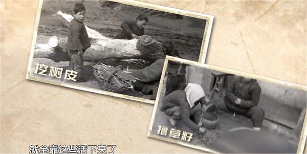 苦难岁月中的坚韧与成长:史士昊的儿时记忆